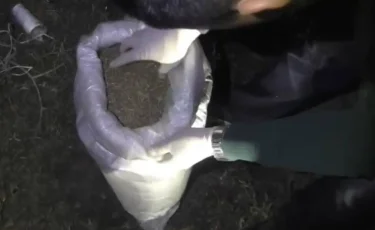 Шуда 50 келіден астам марихуана тасымалдаған екі күдікті ұсталды