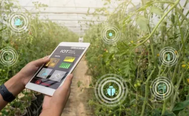 Новый инвестпроект: Китай построит агрохаб будущего в Казахстане