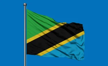 Выборы или хаос: Танзания переживает самые кровавые протесты последних лет