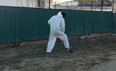 Как в Атырауской области чиновники борются с грызунами