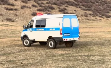 Двое суток поиска: подростки сели на лошадь и пропали в области Жетысу (видео)