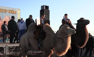 Түйе жарысы: Түркістан облысында алматылық қос арудың желмаясы мәреге өзгелерден бұрын жетті