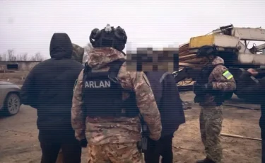 МВД: в Костанайской области выявлена группа нелегальных лесорубов (видео)