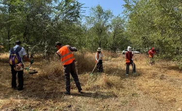 Алматының Жетісу ауданында 6 мың шаршы метр аумақтан қоқыс жиналды