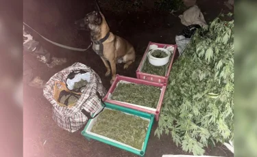 Тайник на чердаке: полиция обнаружила крупную партию наркотиков в ЗКО