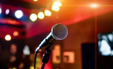 Сенат фонограмманы пайдалануды шектеу туралы заңды Мәжіліске қайтарды