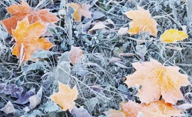 Бүгін еліміздің бірнеше өңірінде қар жауып, көктайғақ болады