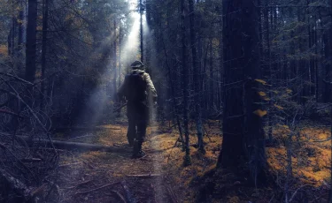 Перепутал с волком: охотник в лесу застрелил заготовителя дров