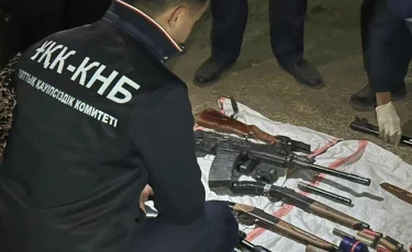 Огнемет, автоматы, пистолеты, ружья изъяли в Казахстане в октябре 2025