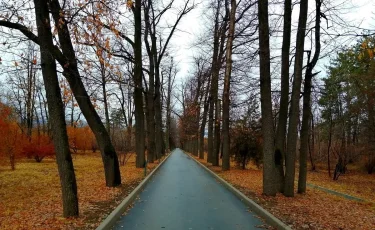 Погода в Алматы с 24 по 30 ноября 2025