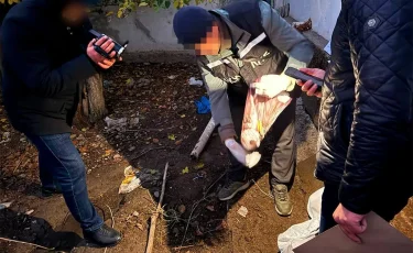 ҰҚК есірткі жеткізудің 3 халықаралық және 3 аймақтық арнасын жойды