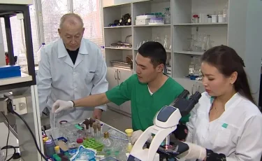 Касым-Жомарт Токаев отметил нехватку специалистов в сельском хозяйстве