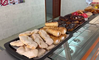 Массовое отравление школьников: в Жамбылской области завели уголовное дело