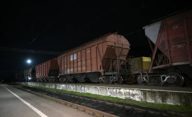 Арменияда қазақстандық бидайдың сапасы жоғары бағаланды