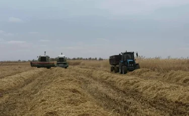 Балқаш ауданында 26 млн теңгелік инвестициялық жоба жүзеге асуда
