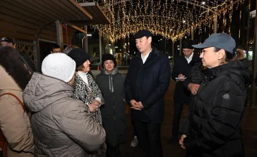 Дархан Сатыбалды жаңа шағынаудандардағы қасбеттік жарықтандыру жұмыстарымен танысты