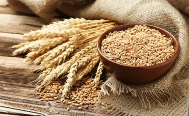 В Армению была доставлена первая партия казахстанской пшеницы в размере 1 тыс. тонн