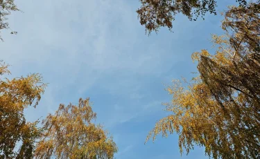 Бүгін кей өңірде қар жауса, кей өңірде күн ашық болады