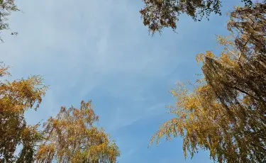 Бүгін кей өңірде қар жауса, кей өңірде күн ашық болады