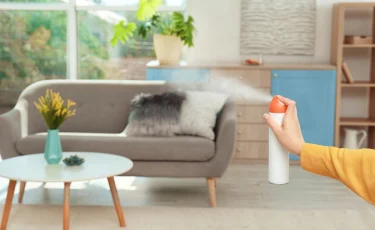 Как быстро освежить воздух в комнате перед приходом гостей