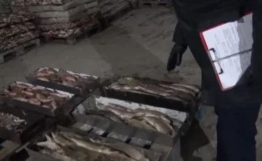 Незаконный вывоз рыбы: суд вынес приговор руководству СПК «Кызылорда Балык»