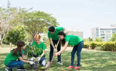 Чистота круглый год: в области Абай обсудили экологическую программу "Таза Қазақстан"