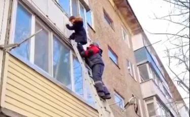 Сердце в пятках: мальчик сорвался с балкона ради кота и повис