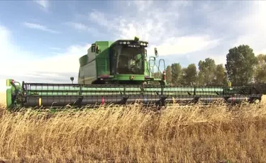 Лизинг: елімізде 250 млрд теңгеге ауыл шаруашылығы техникасын қаржыландырылды