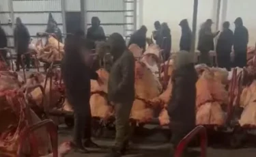 Штамп вместо разрешения: на столичных прилавках продавали мясо неизвестного происхождения