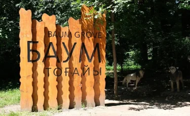 Почему важно благоустроить Рощу Баума, объяснили в Алматы