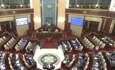 Пропаганда ЛГБТ, соцсети для детей и архивы: депутаты предложили ряд важных норм