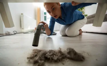 Невидимые вредители: чем опасны пылевые клещи, и как с ними бороться