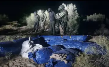 Заңсыз айналымнан 27 тонна есірткі тәркіленді — ІІМ