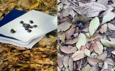 Оралда есірткі таратты деген күдікке ілінген 18 жастағы жас жігітті ұстады