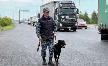 Четвероногий помощник: как собака раскрыла преступление за считанные минуты