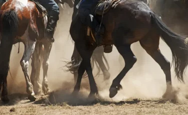 Камилла Сальма Хайек фильмнен эротикалық кадрлар