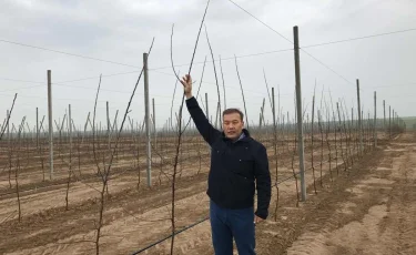 Казахстан движется в правильном направлении – депутат