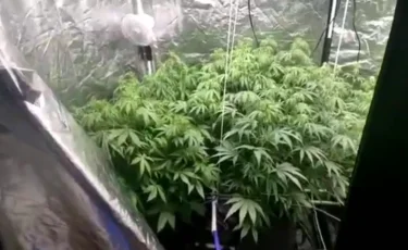 Почти 6 килограммов марихуаны изъяли полицейские у жителя Рудного