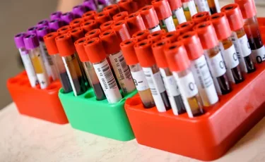 Штамп с указанием группы крови появится в паспортах Беларуси