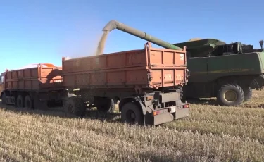 Үкімет астық экспортын қолдауға қосымша 7 млрд теңге бөлді