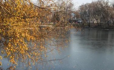 Шокирующая находка: у пруда обнаружены фрагменты тела ребенка