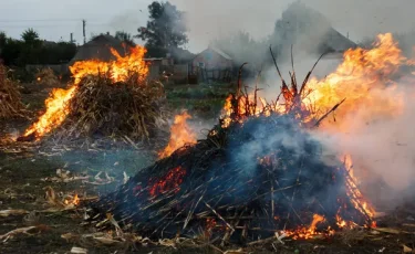 Месть за отказ: пастух устроил крупный пожар на чужой ферме