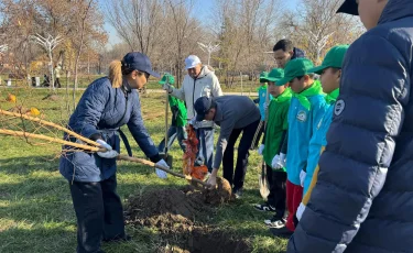 В Наурызбайском районе Алматы продолжается массовая посадка деревьев