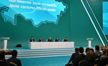 Глава государства призвал создать необходимые условия для работы сотрудников сельских акиматов