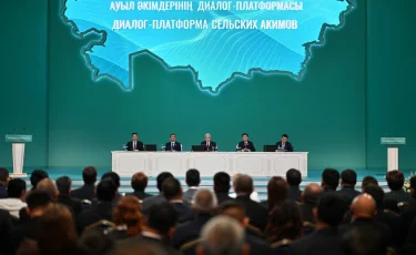 «Цифровой Казахстан невозможно построить без сел и сельских округов» - Президент