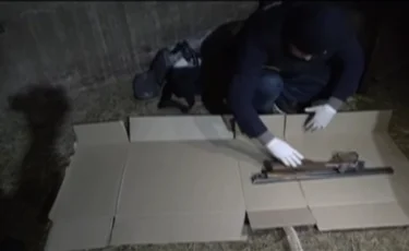 Мал ұрлығы: Ұлытау облысында 4 қылмыстық топ анықталды