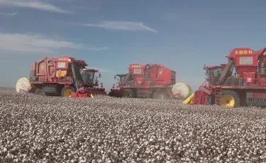 Тоқыма өнеркәсібі: Түркістан облысында ауқымды кластер құрылады