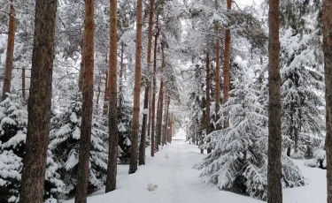 О лете - в январе: что говорят народные приметы