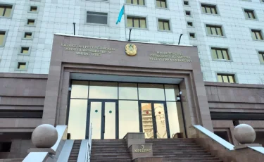 Квоты на мясо КРС: что нужно знать фермерам и переработчикам