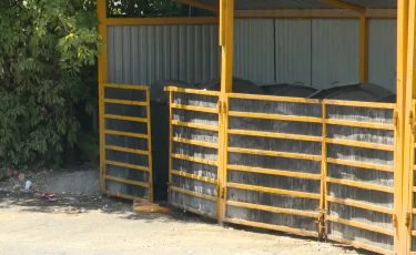 Әйелді өлтіріп, денесін қоқысқа тастаған: Шымкентте оқушы сотталды